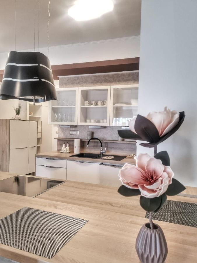 Studio Apartment "Brigita",Parking With Gate Rijeka Buitenkant foto