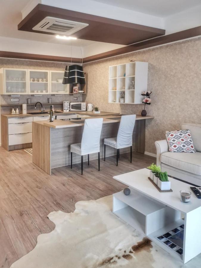 Studio Apartment "Brigita",Parking With Gate Rijeka Buitenkant foto