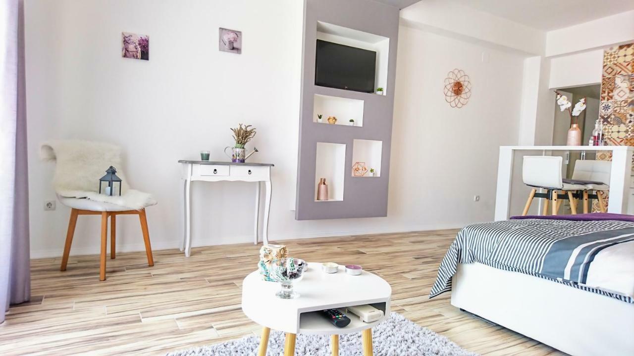 Studio Apartment "Brigita",Parking With Gate Rijeka Buitenkant foto