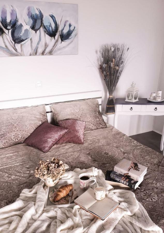 Studio Apartment "Brigita",Parking With Gate Rijeka Buitenkant foto